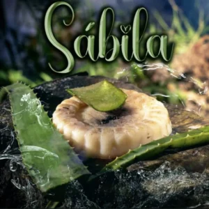 Jabón Artesanal de Sábila