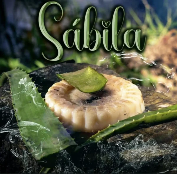 Jabón Artesanal de Sábila